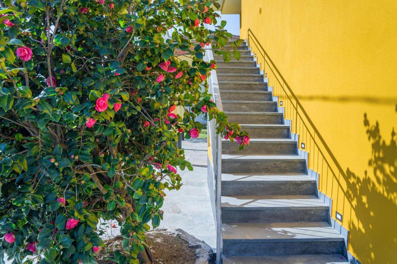 Agricanto Sestri Levante Bagian luar foto